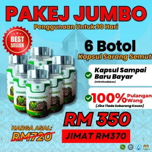 PAKEJ JUMBO 6 BOTOL KAPSUL SARANG SEMUT